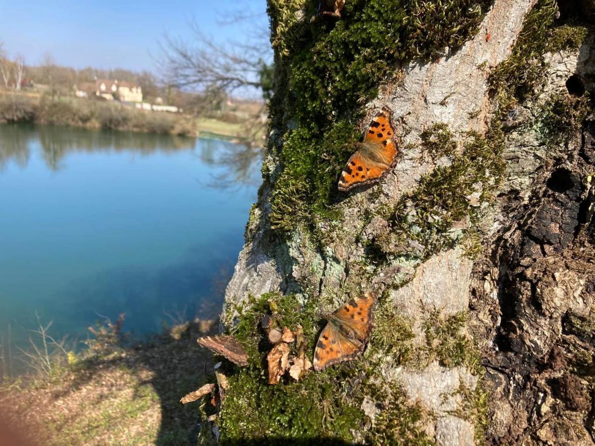 Lac De Lumiere. Relax With Rural Lakeside Living Herry エクステリア 写真