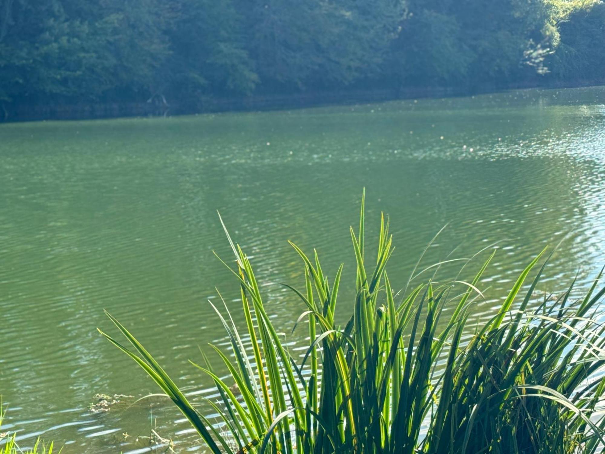 Lac De Lumiere. Relax With Rural Lakeside Living Herry エクステリア 写真